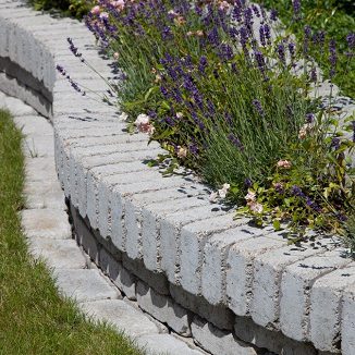 Moderne Gartenanlage mit Buchsbaum